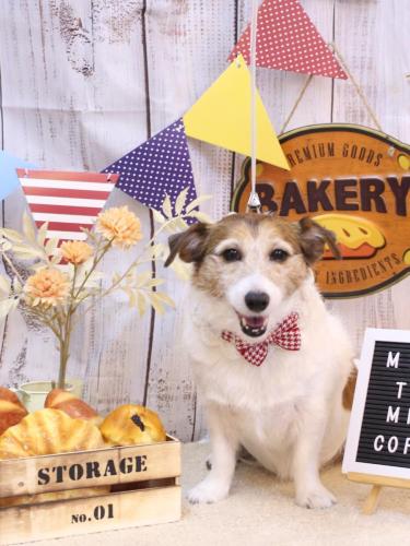 20240924こはるちゃん